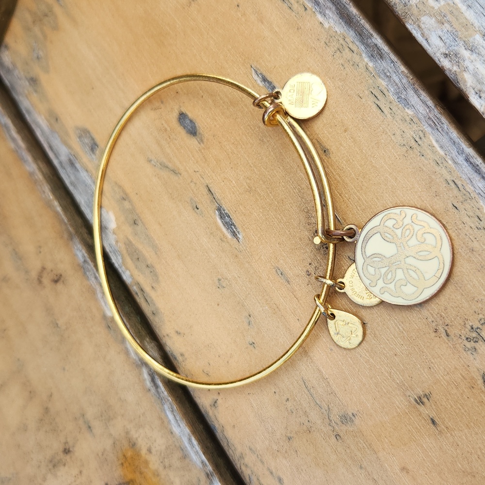 Alex + Ani Path Of Life Positive 2014 Energy Expandable Bangle Bracelet